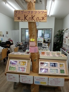 kokoさん.jpg